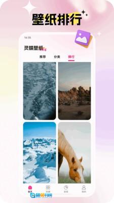 灵蝶壁纸绿色版图2