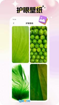 灵蝶壁纸绿色版图1