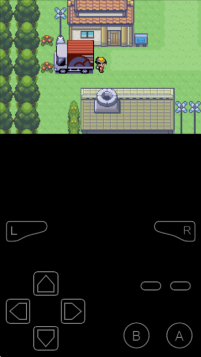 口袋妖怪极光石安卓版(3)