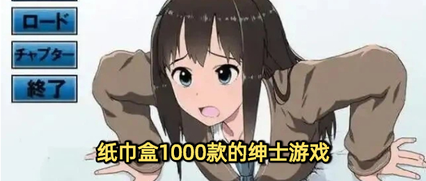 纸巾盒1000款的绅士游戏