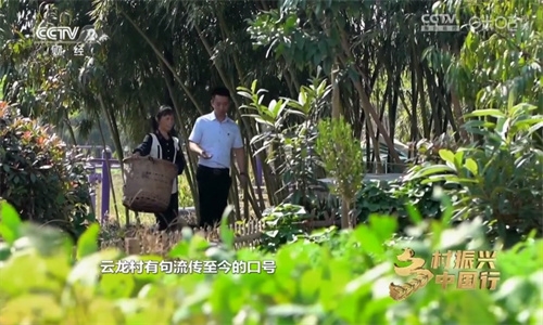 小薇直播纯净版图3