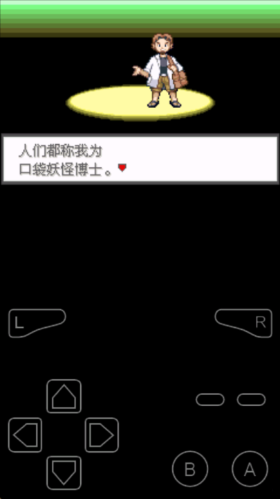 口袋妖怪极光石安卓版(2)