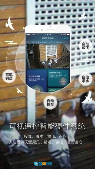 爱鸽者手机版图2