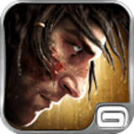 狂野之血中文版