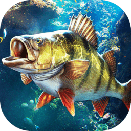 钓鱼大师手机版