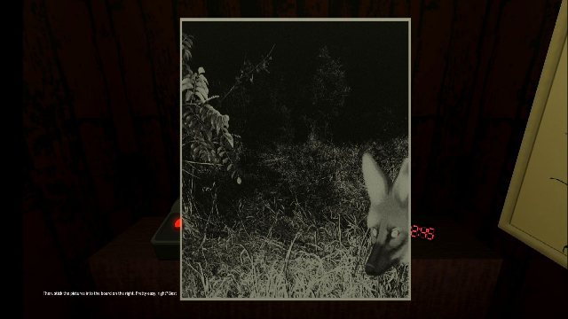 动物观察员手游免费版(3)