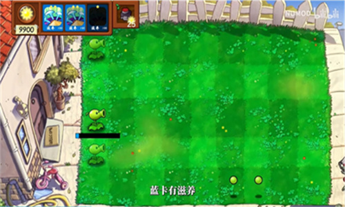 植物大战僵尸技能版(1)