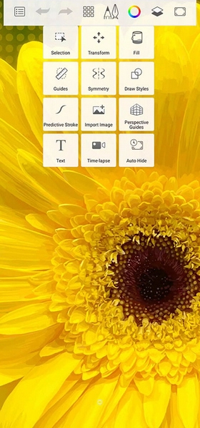 sketchbook免费版(3)