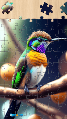 艺术拼图大师图5