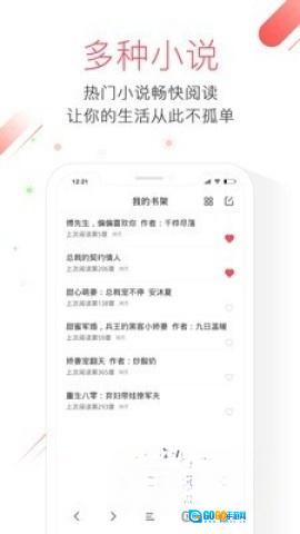 极鹰浏览器最新版图3