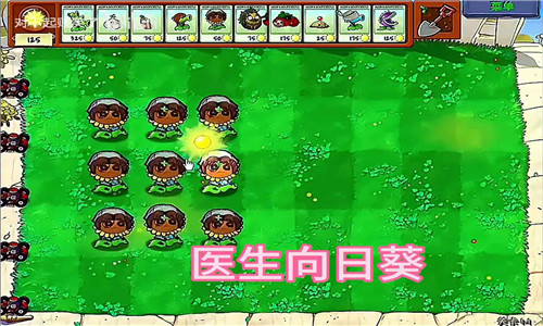植物大战僵尸第五人格版(2)