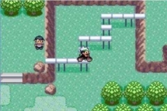 口袋妖怪模拟器(1)