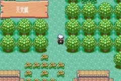 口袋妖怪模拟器(3)