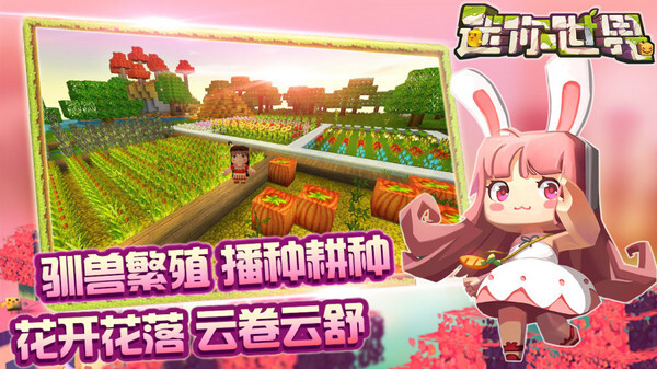 迷你世界盒子(4)