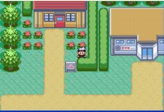 口袋妖怪红宝石386（悟饭版(4)