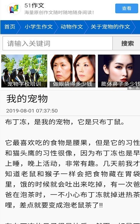 51作文网(2)