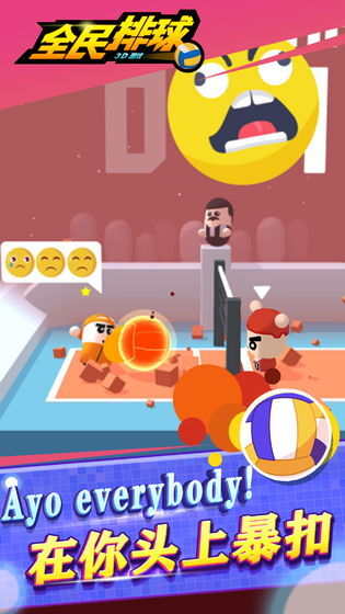 全民排球(5)