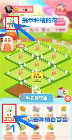 开心花园(3)