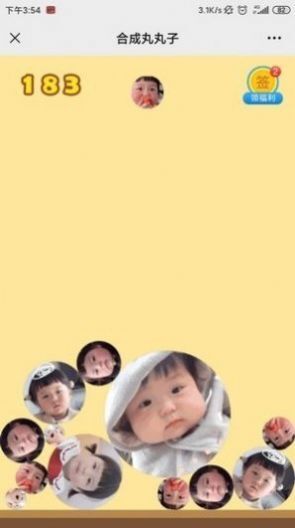 合成丸丸子游戏安装(3)