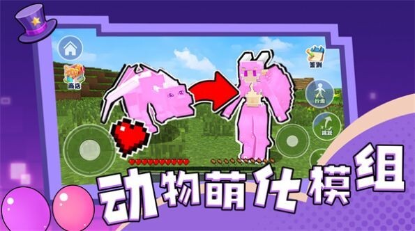 动物萌化模组游戏(2)