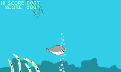 游泳吧萨卡班甲鱼(2)