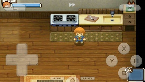 牧场物语双子村(3)