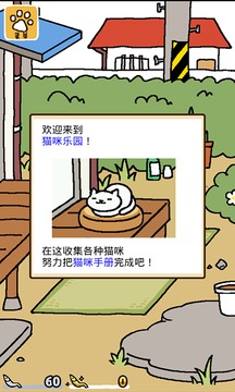 猫咪后院图1
