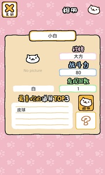 猫咪后院图3