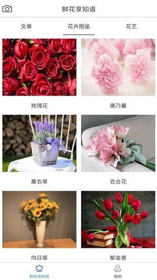 鲜花知识星球图1