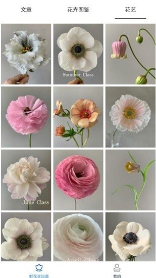 鲜花知识星球图4