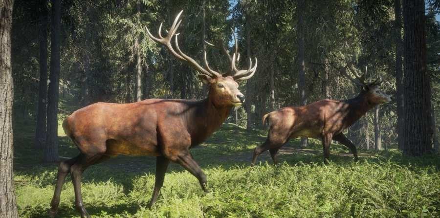 猎人荒野的召唤手机版中文版图2