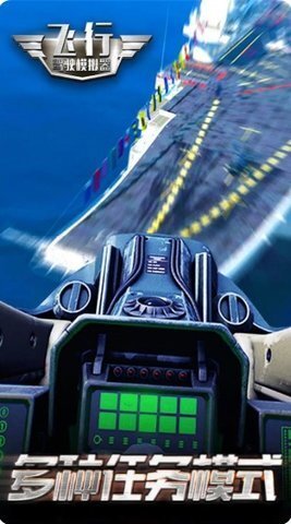 飞行驾驶模拟器(3)