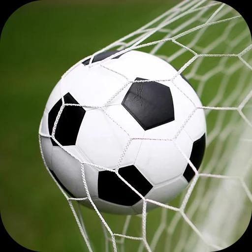 火柴人疯狂足球