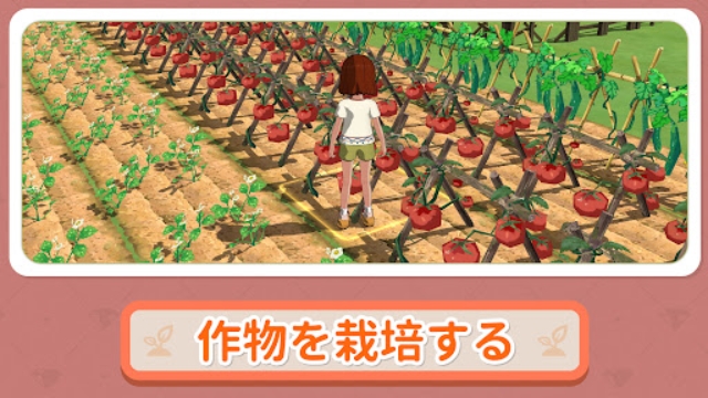 小森生活国际服