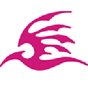 飞极速动漫手机版