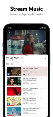 YouTube(2)