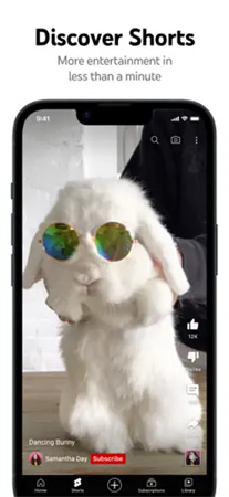 YouTube(4)