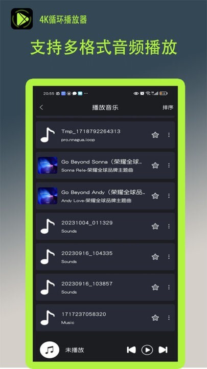 4K循环播放器截图2