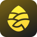 松果出行官方版