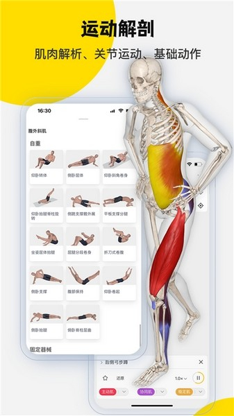 3Dbody解剖app免费版图2