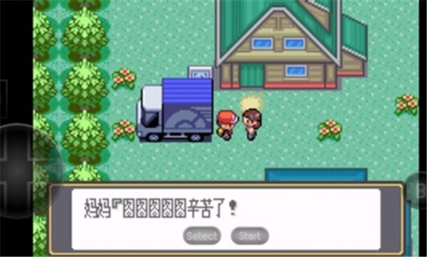 口袋妖怪黑白(4)