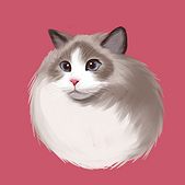 fujifilm camera remote