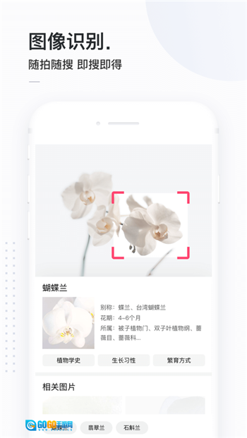 简单搜索最新版图2