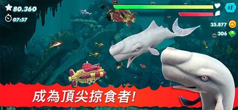 饥饿的鲨鱼进化中文版(4)
