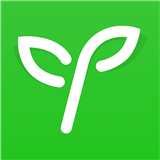 沪江网校官网版