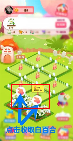 开心花园官方版图4