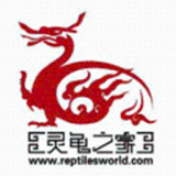 灵龟之家论坛