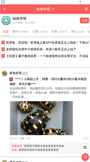 灵龟之家论坛图1