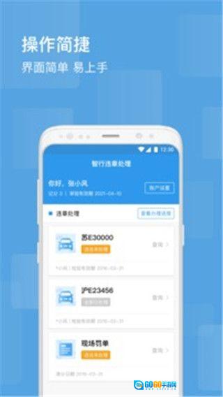 智行违章处理图4