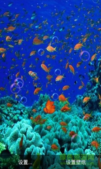 3D海底世界动态壁纸手机壁纸图2